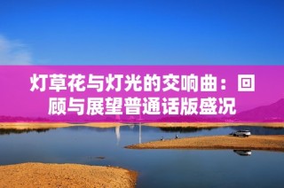 灯草花与灯光的交响曲：回顾与展望普通话版盛况