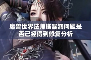 魔兽世界法师塔漏洞问题是否已经得到修复分析