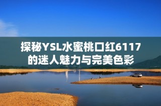 探秘YSL水蜜桃口红6117的迷人魅力与完美色彩