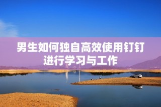 男生如何独自高效使用钉钉进行学习与工作