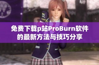 免费下载p站ProBurn软件的最新方法与技巧分享