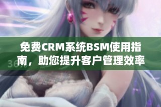 免费CRM系统BSM使用指南，助您提升客户管理效率