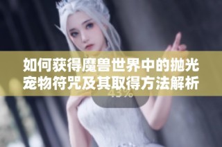 如何获得魔兽世界中的抛光宠物符咒及其取得方法解析