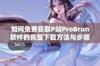 如何免费获取P站ProBrun软件的完整下载方法与步骤