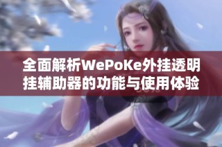 全面解析WePoKe外挂透明挂辅助器的功能与使用体验