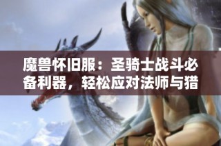 魔兽怀旧服：圣骑士战斗必备利器，轻松应对法师与猎人！