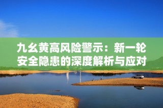 九幺黄高风险警示：新一轮安全隐患的深度解析与应对措施