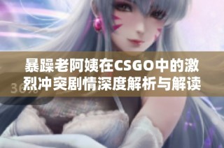 暴躁老阿姨在CSGO中的激烈冲突剧情深度解析与解读