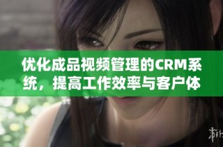 优化成品视频管理的CRM系统，提高工作效率与客户体验