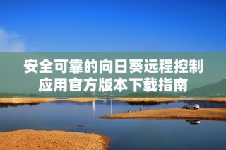 安全可靠的向日葵远程控制应用官方版本下载指南