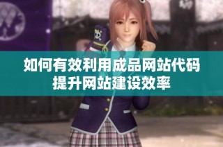 如何有效利用成品网站代码提升网站建设效率