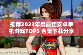 推荐2023年度最佳安卓单机游戏TOP5 合集下载分享