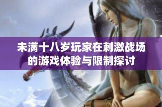 未满十八岁玩家在刺激战场的游戏体验与限制探讨