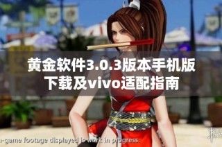 黄金软件3.0.3版本手机版下载及vivo适配指南