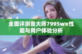 全面评测鲁大师7995wx性能与用户体验分析