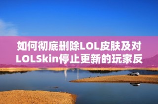 如何彻底删除LOL皮肤及对LOLSkin停止更新的玩家反应