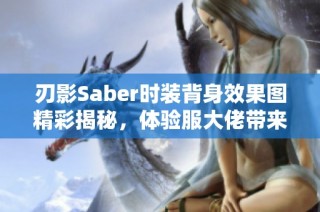 刃影Saber时装背身效果图精彩揭秘，体验服大佬带来最新展示！