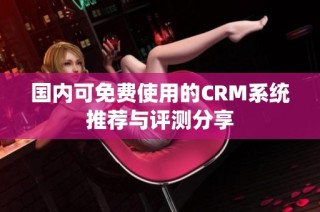 国内可免费使用的CRM系统推荐与评测分享