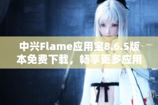 中兴Flame应用宝8.6.5版本免费下载，畅享更多应用乐趣