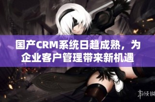 国产CRM系统日趋成熟，为企业客户管理带来新机遇