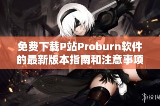 免费下载P站Proburn软件的最新版本指南和注意事项