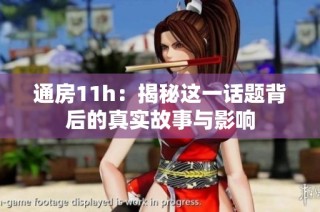 通房11h：揭秘这一话题背后的真实故事与影响