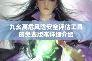 九幺高危风险安全评估工具的免费版本详细介绍