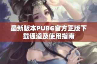 最新版本PUBG官方正版下载通道及使用指南