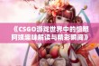 《CSGO游戏世界中的愤怒阿姨趣味解读与精彩瞬间》