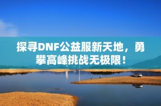 探寻DNF公益服新天地，勇攀高峰挑战无极限！