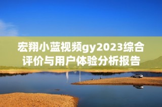 宏翔小蓝视频gy2023综合评价与用户体验分析报告