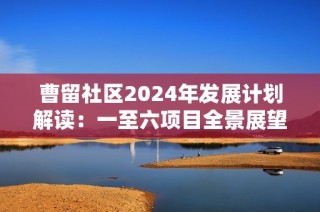 曹留社区2024年发展计划解读：一至六项目全景展望