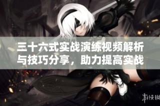 三十六式实战演练视频解析与技巧分享，助力提高实战水平