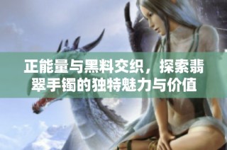 正能量与黑料交织，探索翡翠手镯的独特魅力与价值