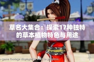 草名大集合：探索17种独特的草本植物特色与用途