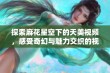 探索麻花星空下的天美视频，感受奇幻与魅力交织的视觉盛宴