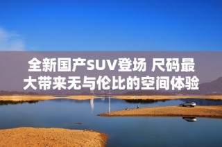 全新国产SUV登场 尺码最大带来无与伦比的空间体验