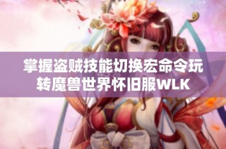 掌握盗贼技能切换宏命令玩转魔兽世界怀旧服WLK