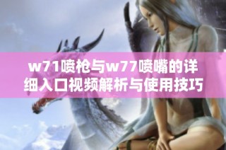 w71喷枪与w77喷嘴的详细入口视频解析与使用技巧分享