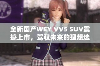 全新国产WEY VV5 SUV震撼上市，驾驭未来的理想选择