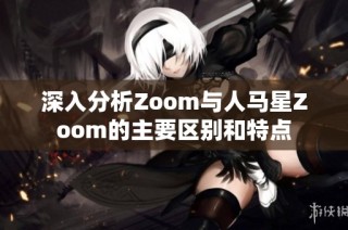 深入分析Zoom与人马星Zoom的主要区别和特点