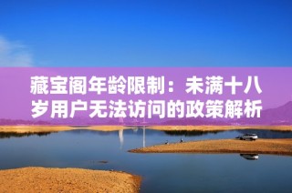 藏宝阁年龄限制：未满十八岁用户无法访问的政策解析