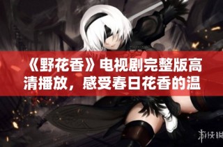 《野花香》电视剧完整版高清播放，感受春日花香的温暖与感动