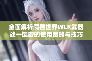 全面解析魔兽世界WLK武器战一键宏的使用策略与技巧