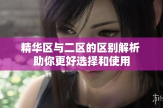 精华区与二区的区别解析 助你更好选择和使用
