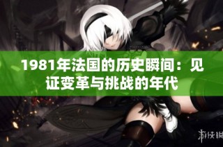 1981年法国的历史瞬间：见证变革与挑战的年代