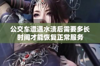 公交车遭遇水渍后需要多长时间才能恢复正常服务
