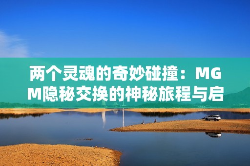 两个灵魂的奇妙碰撞：MGM隐秘交换的神秘旅程与启示