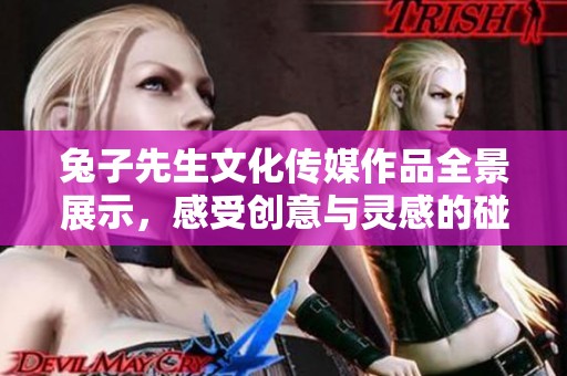 兔子先生文化传媒作品全景展示，感受创意与灵感的碰撞