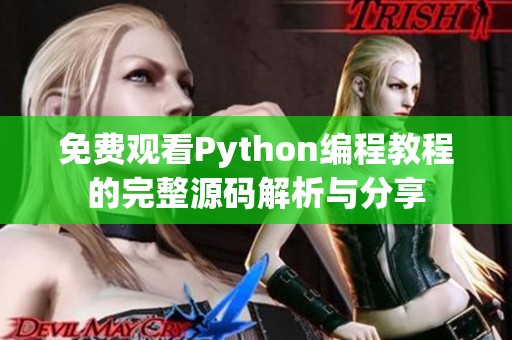 免费观看Python编程教程的完整源码解析与分享